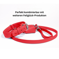 Rote_Leder_Hundeleine_mit_Halsband