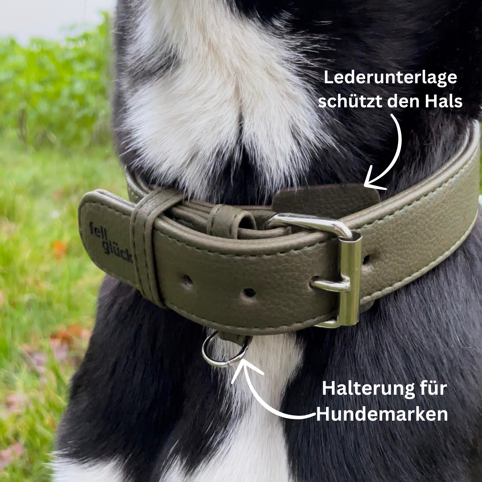 Leder-Halsband-Grün
